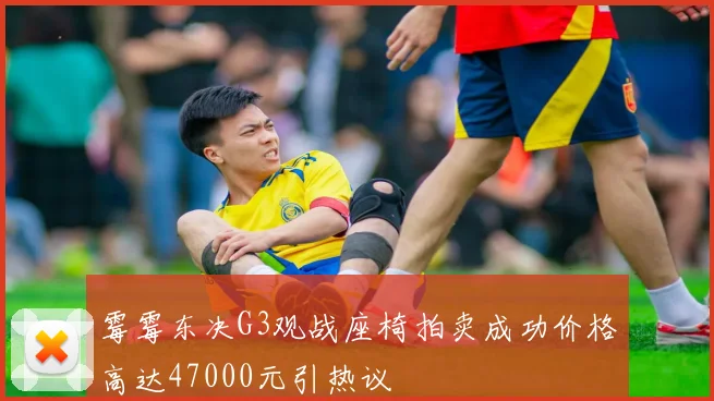 霉霉东决G3观战座椅拍卖成功价格高达47000元引热议