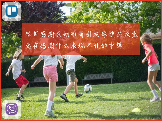 绿军感谢武切维奇引发球迷热议究竟在感谢什么表现不佳的中锋