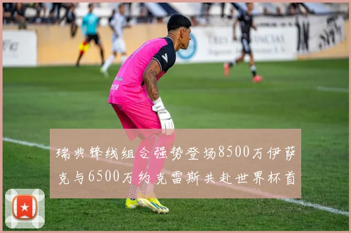 瑞典锋线组合强势登场8500万伊萨克与6500万约克雷斯共赴世界杯首秀